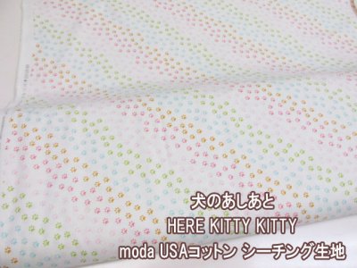 画像1: moda　USAコットン　HARE KITTY KITTY　犬のあしあと柄　シーチング生地