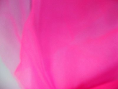 画像1: スパークハーフ　濃いピンク（１５）